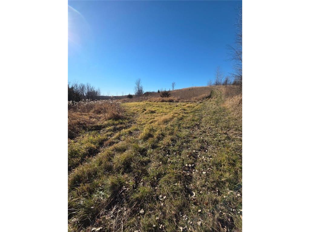 36999 141st Lane Montgomery MN 56069 7008425 image21