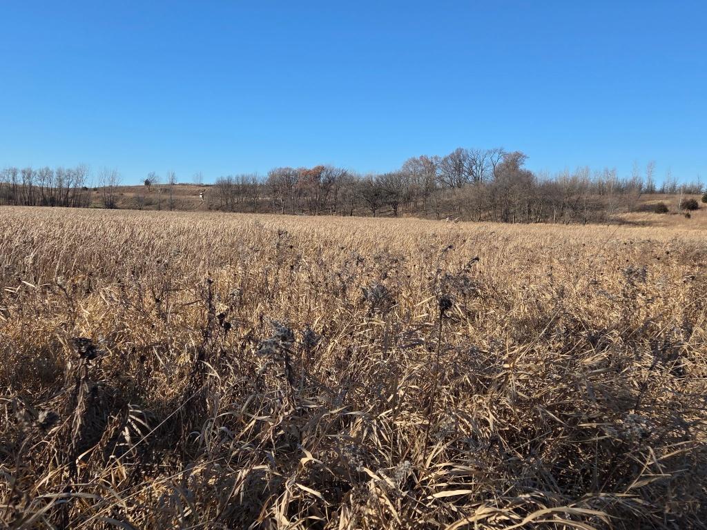 36999 141st Lane Montgomery MN 56069 7008425 image22