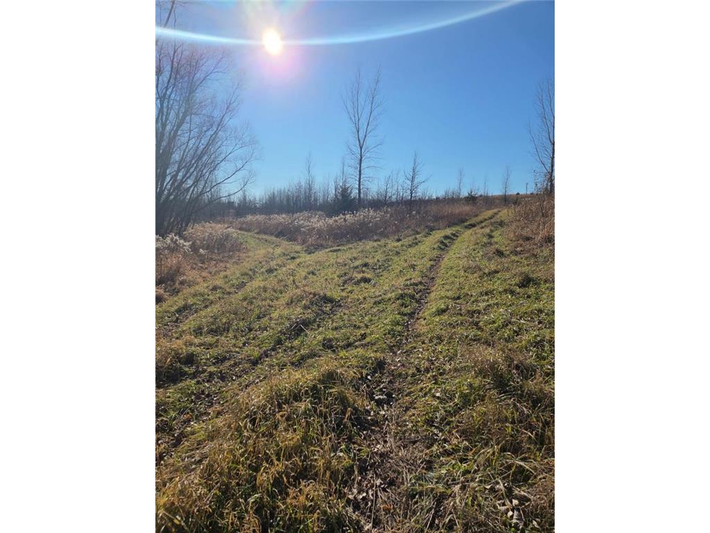 36999 141st Lane Montgomery MN 56069 7008425 image23