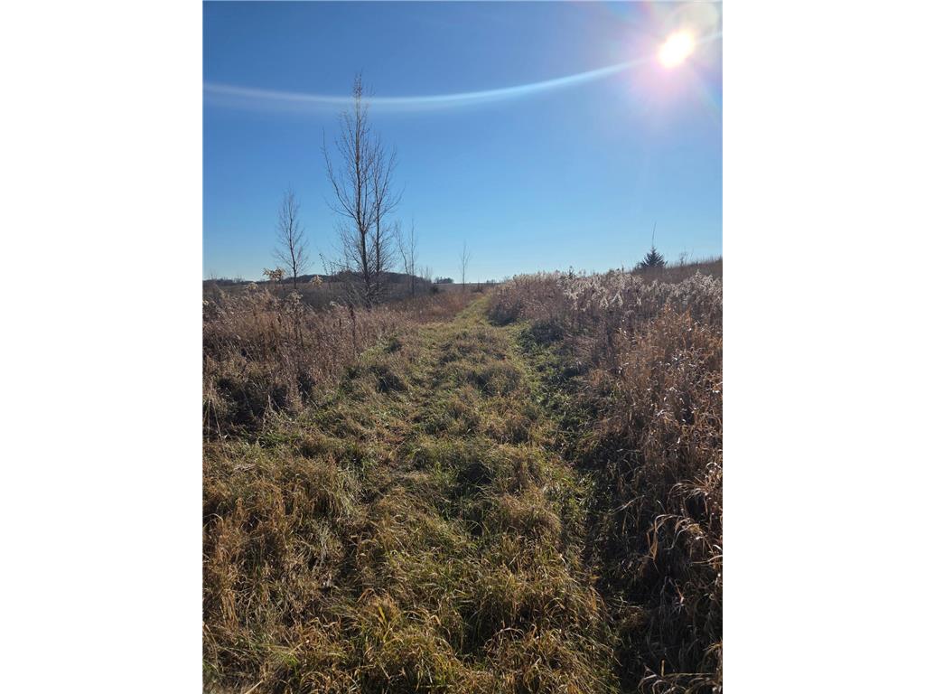 36999 141st Lane Montgomery MN 56069 7008425 image25