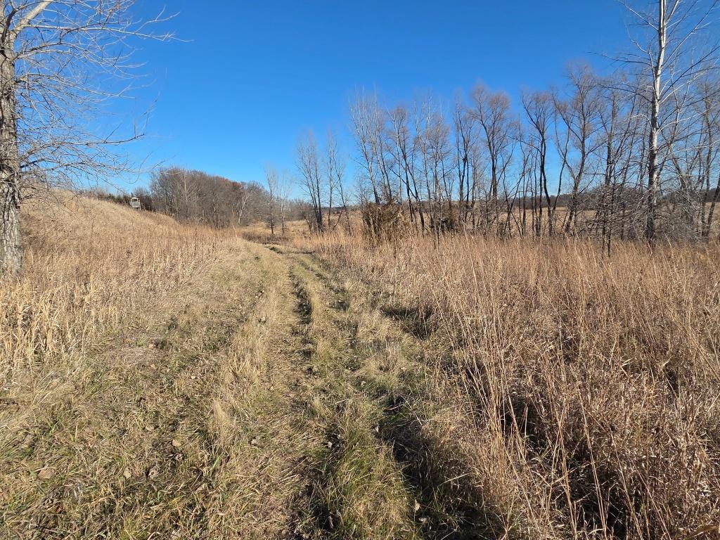 36999 141st Lane Montgomery MN 56069 7008425 image3