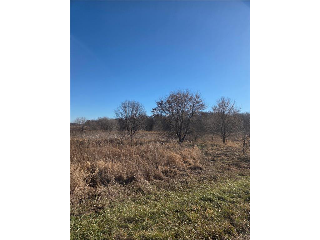 36999 141st Lane Montgomery MN 56069 7008425 image5