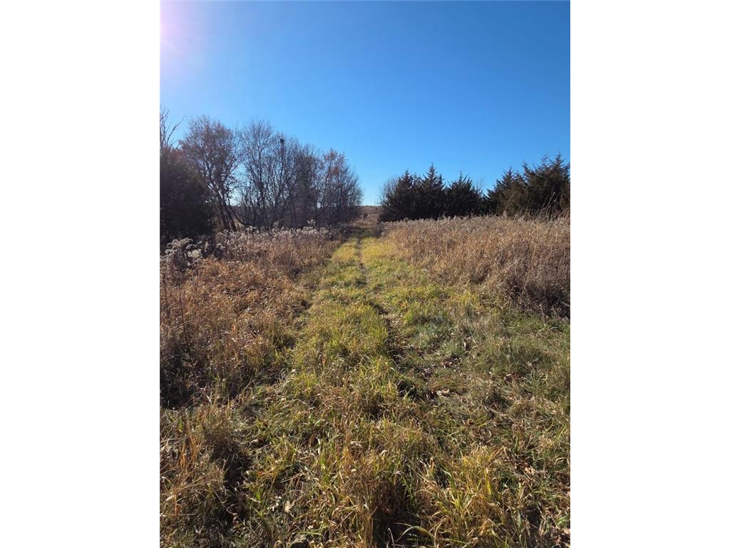 36999 141st Lane Montgomery MN 56069 7008425 image9