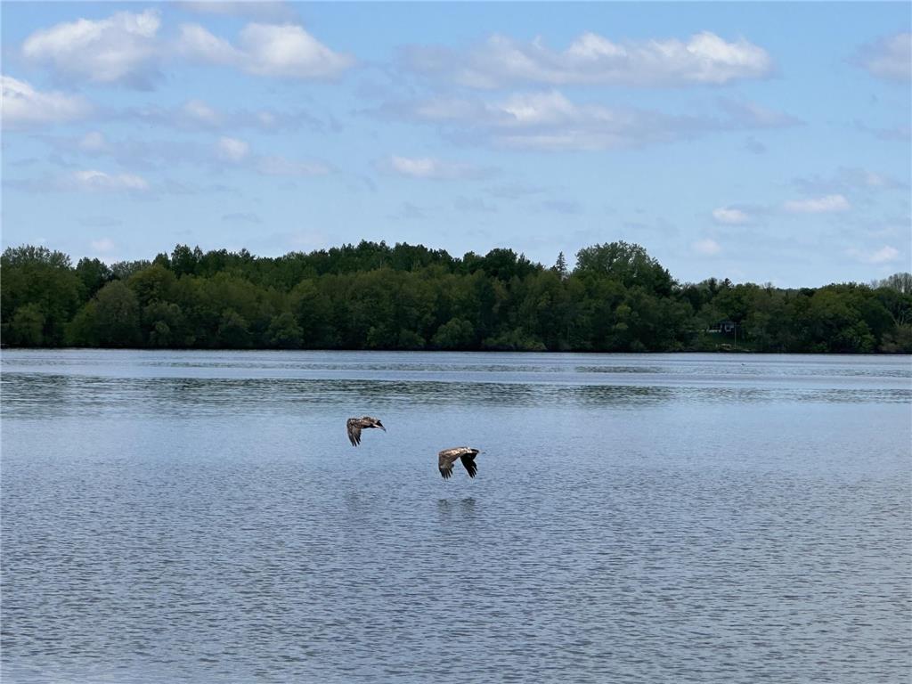 36999 Stanchfield Lake Road NW Wyanett Twp MN 55017 - South Stanchfield 7079437 image7