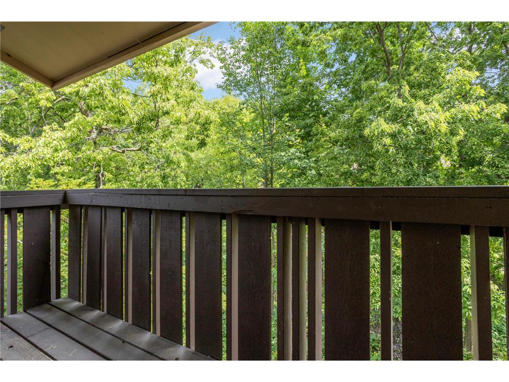 37 Birnamwood Drive Burnsville MN 55337 6824278 image19