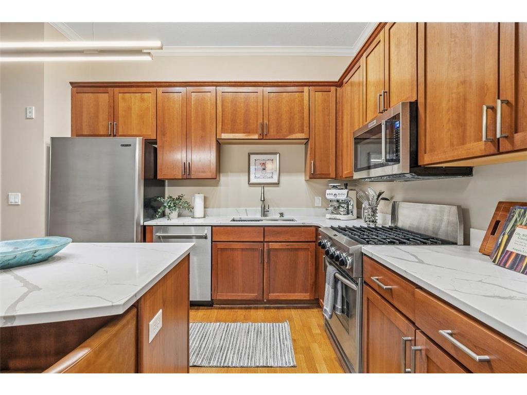 370 Marshall Avenue #102 Saint Paul MN 55102 7109338 image3