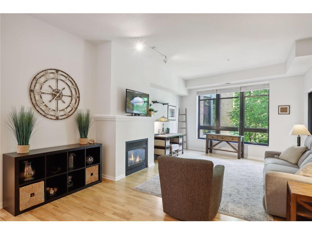 3707 Grand Way #209 Saint Louis Park MN 55416 6571477 image1