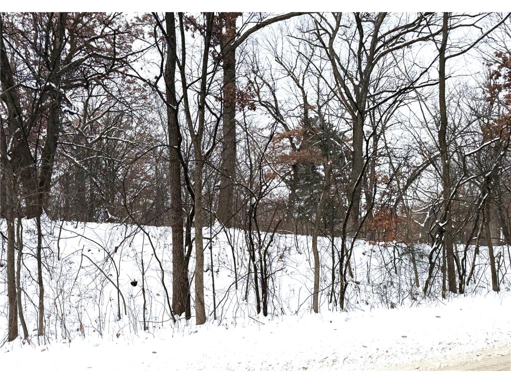 371 Totem Road Saint Paul MN 55119 6822151 image2