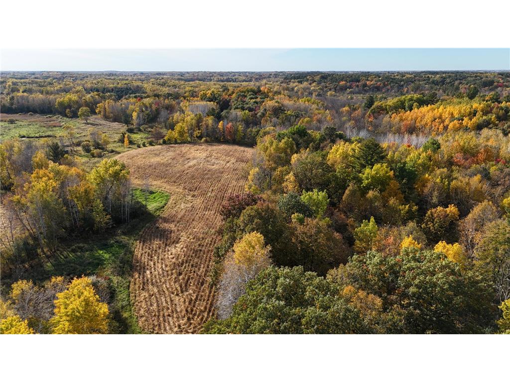 37102 Grandy Pines Road NE Cambridge Twp MN 55080 6615716 image1