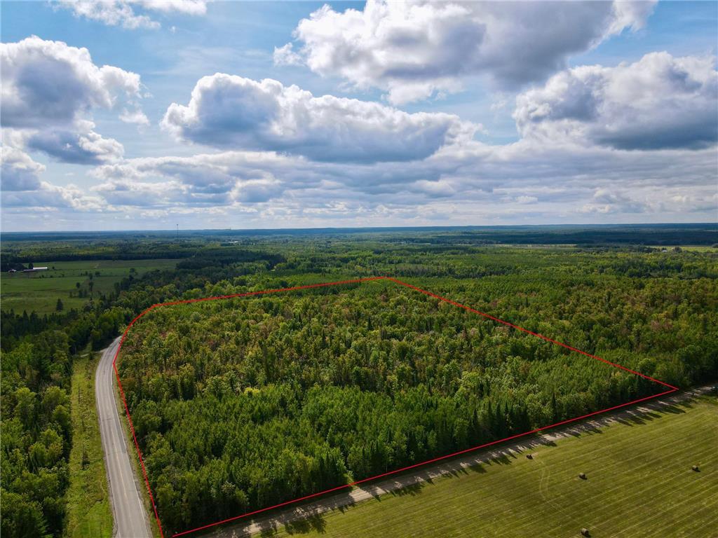 37139 Hanson Rd Bigfork Twp MN 56628 6785095 image1