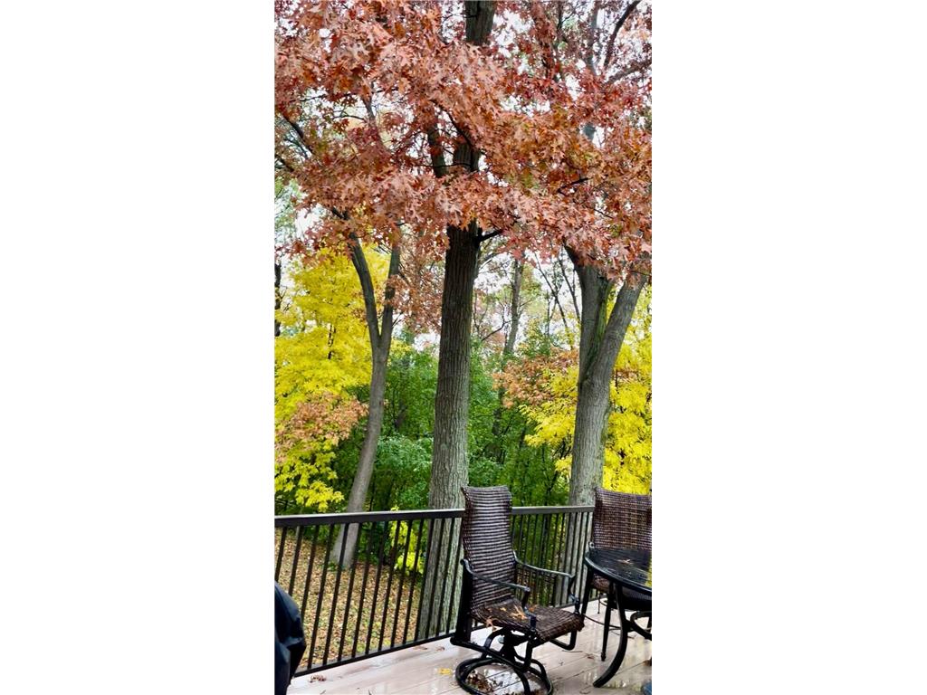 3716 Falcon Way Eagan MN 55123 7059249 image33