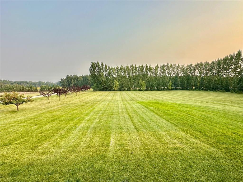37165 220th Street Stafford Twp MN 56751 7066576 image10