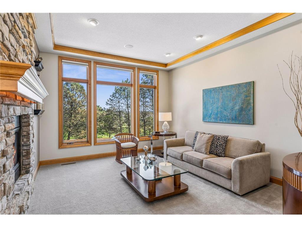 3717 Fairway Point Woodbury MN 55125 7048661 image10