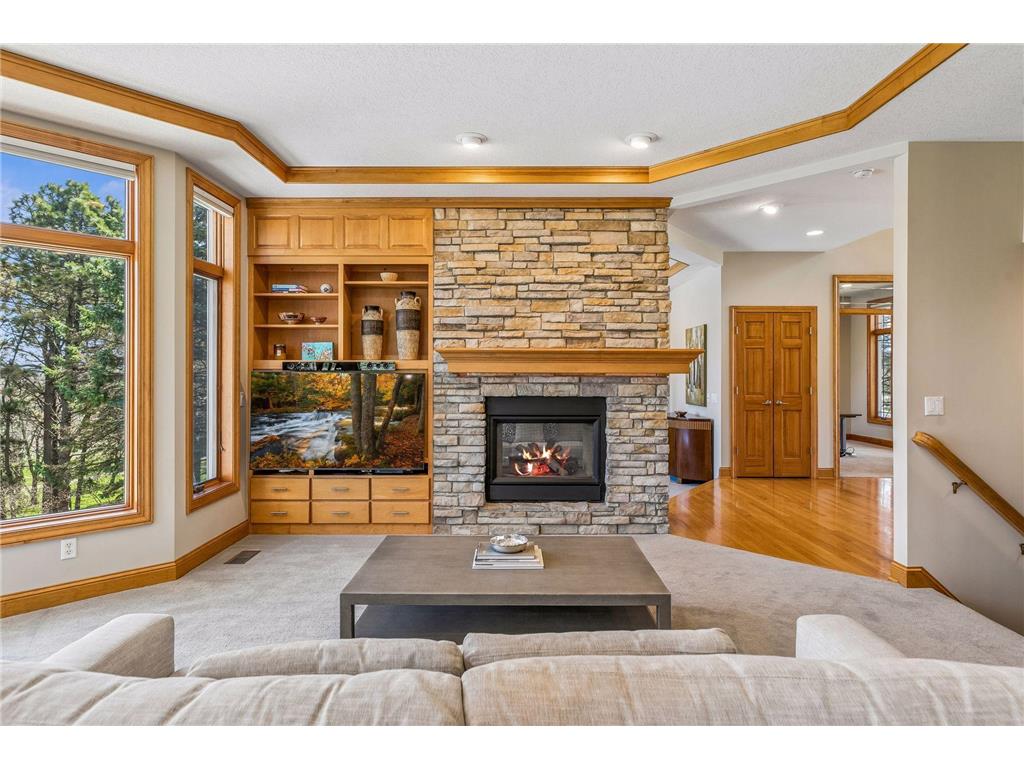 3717 Fairway Point Woodbury MN 55125 7048661 image16