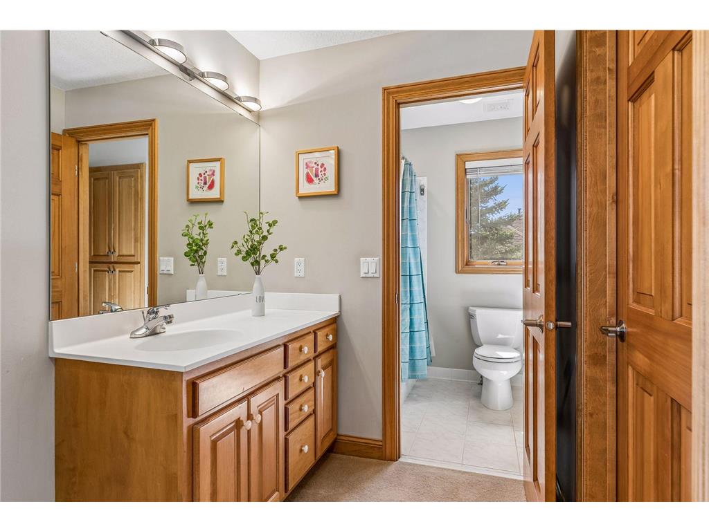 3717 Fairway Point Woodbury MN 55125 7048661 image63