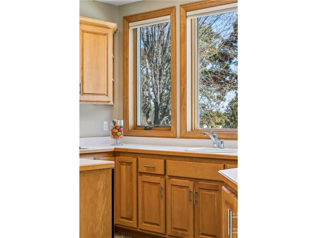 3717 Fairway Point Woodbury MN 55125 7048661 image67