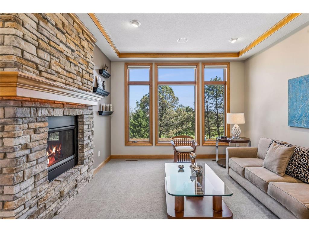 3717 Fairway Point Woodbury MN 55125 7048661 image9
