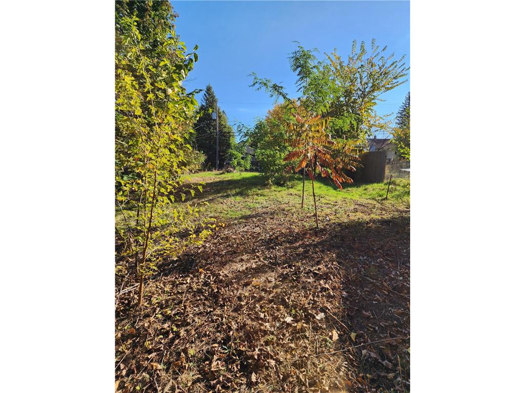 3718 Lyndale Avenue N Minneapolis MN 55412 6814821 image3