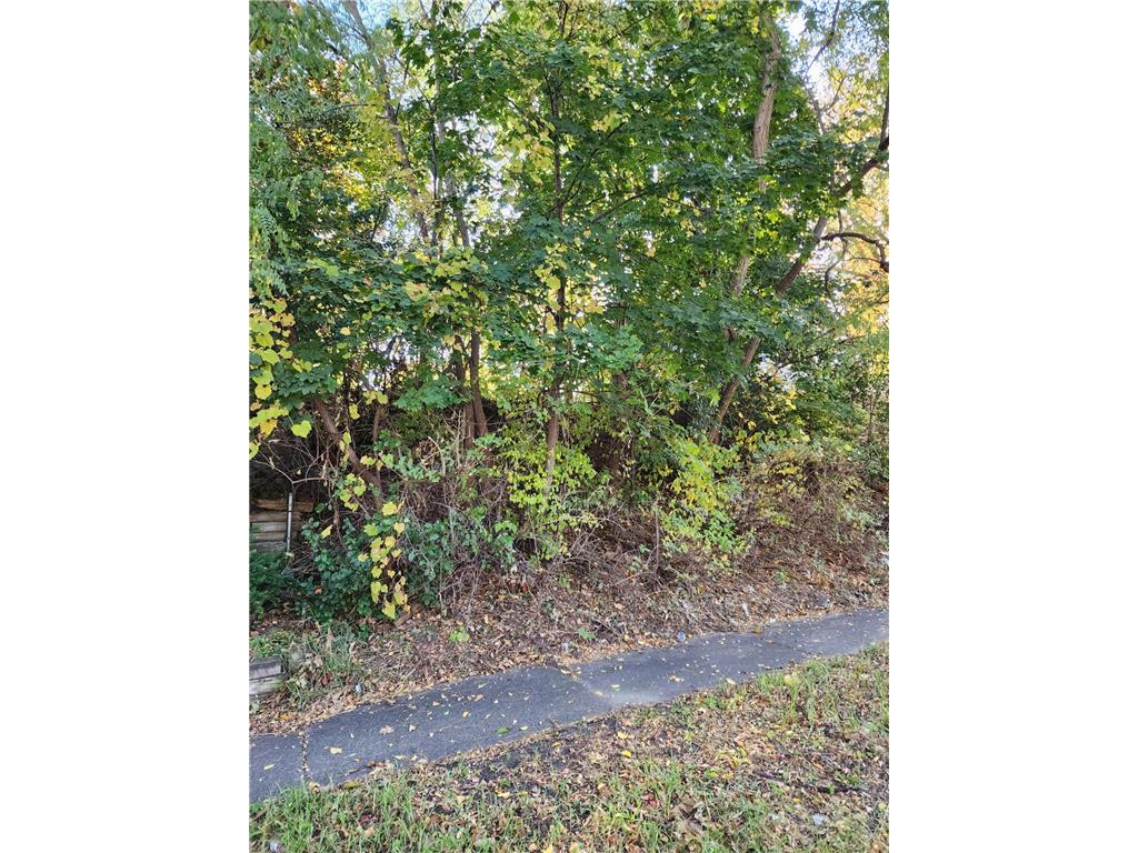 3718 Lyndale Avenue N Minneapolis MN 55412 6814821 image5