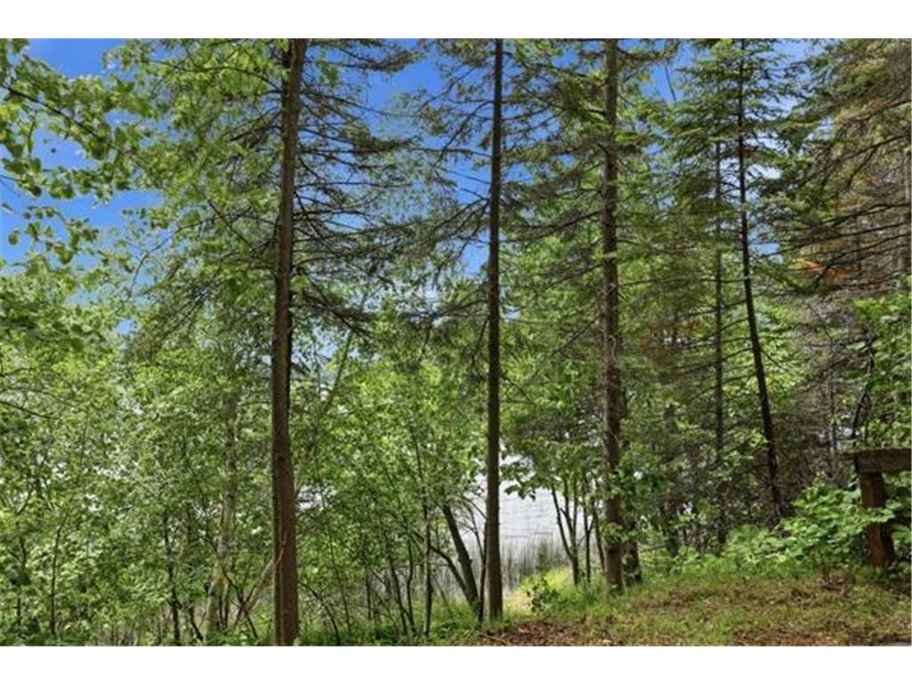 37222 N Courage Dr (Lot 5) Lake George MN 56458 - George Lake 7082275 image19