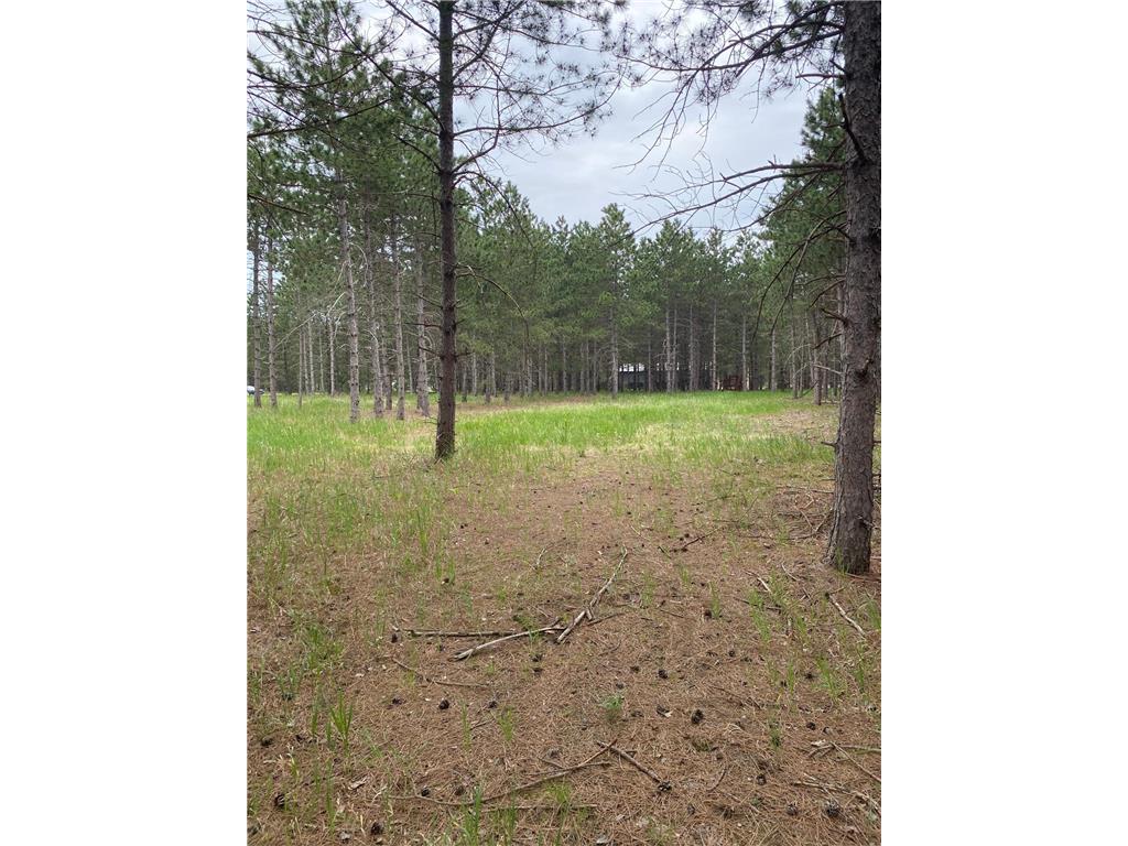 37222 Pine Cone Drive Menahga MN 56464 6382785 image1