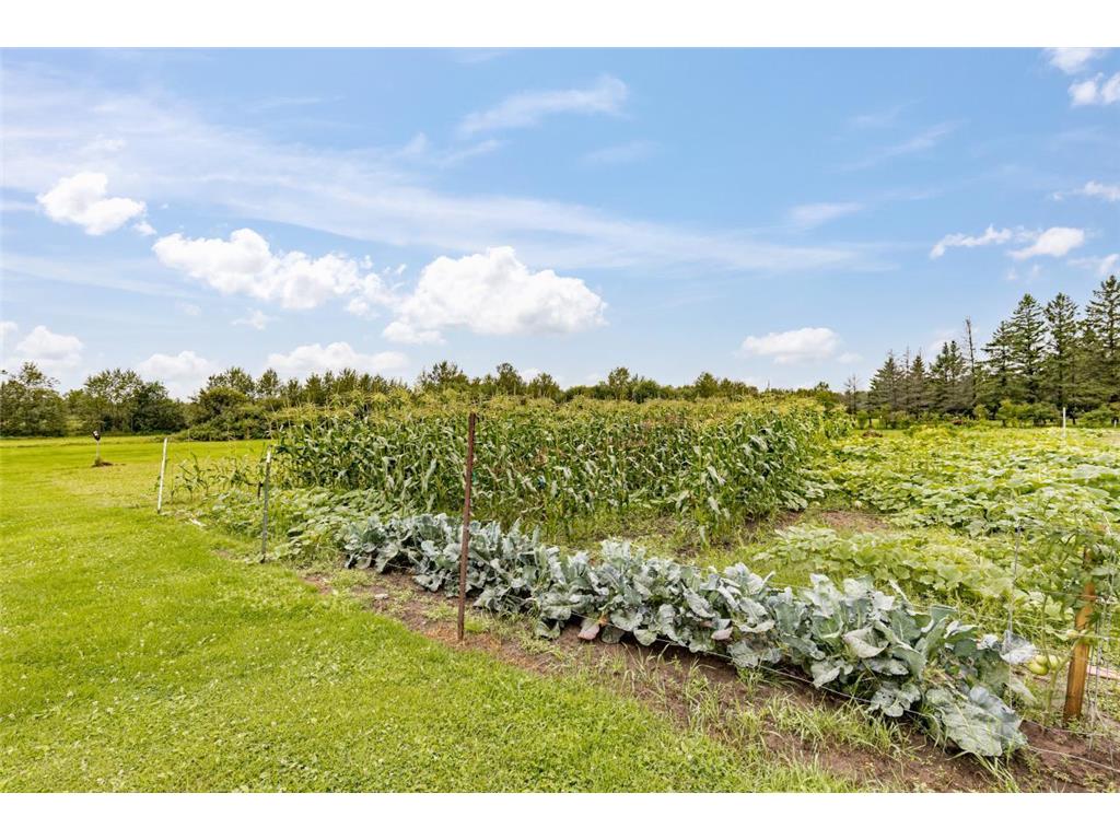 3723 Birchwood Road Kettle River MN 55757 6779803 image46