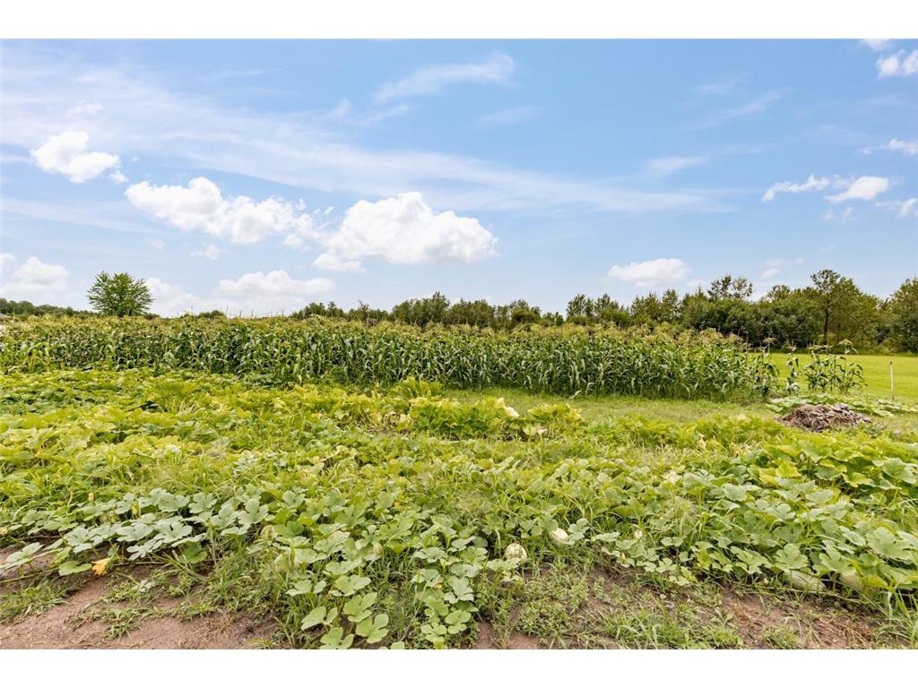 3723 Birchwood Road Kettle River MN 55757 6779803 image50