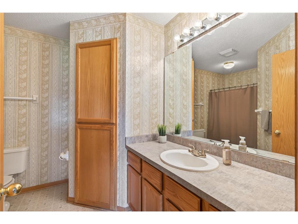 3724 131st Lane NW Coon Rapids MN 55448 7081145 image11
