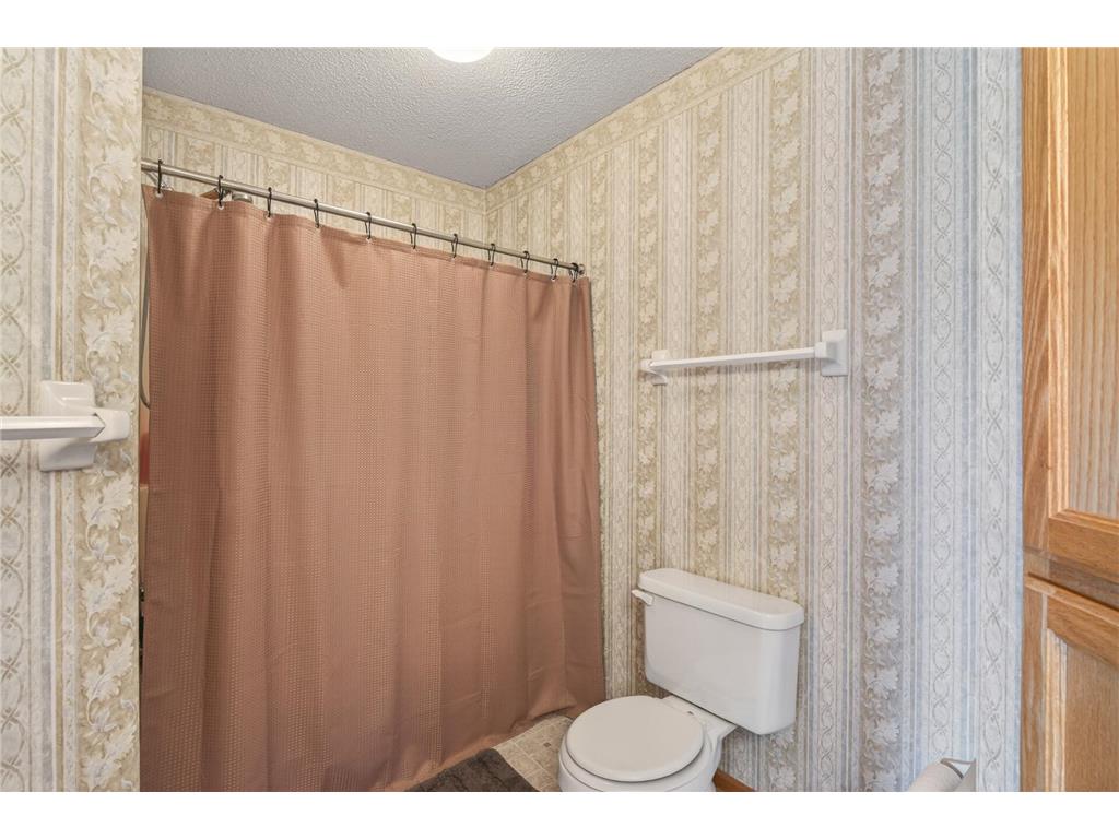 3724 131st Lane NW Coon Rapids MN 55448 7081145 image12