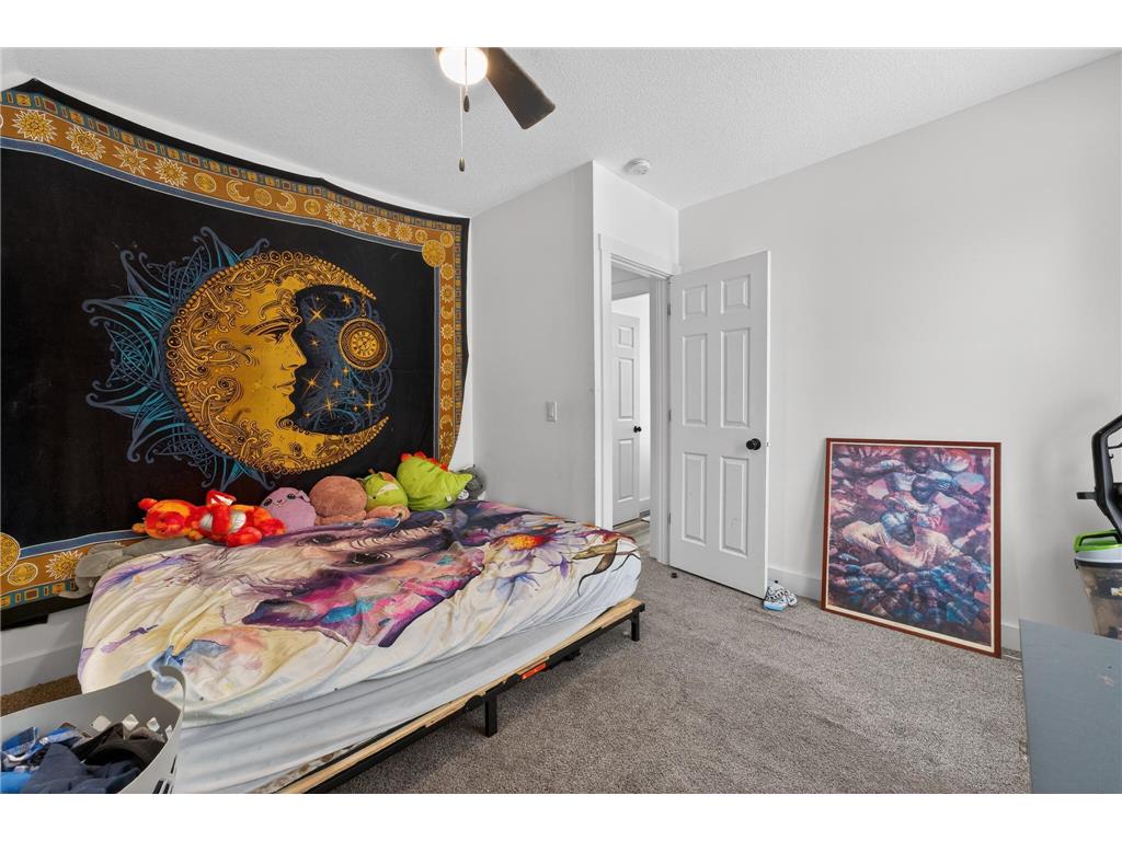 3724 345th Avenue NE Cambridge Twp MN 55008 - Erickson Lake 6826849 image47