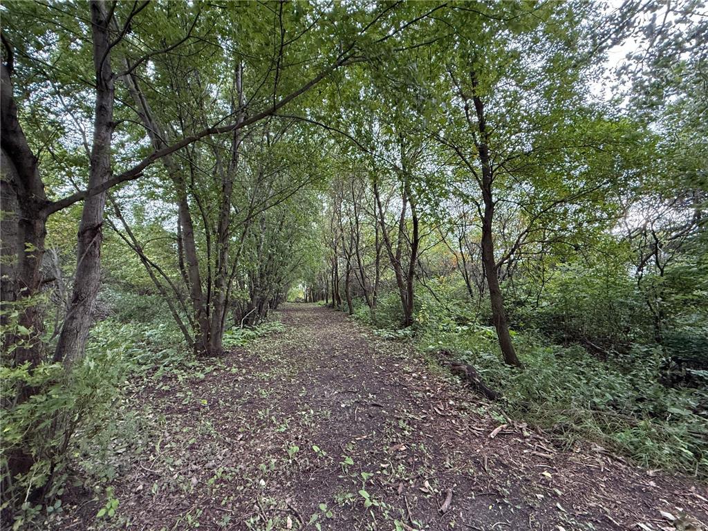 37261 280th Street Westbrook MN 56183 6801029 image17