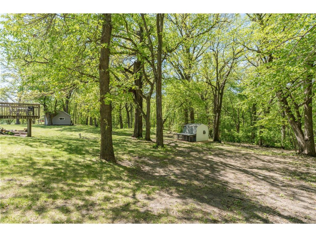 37285 161st Avenue Montgomery MN 56069 7074946 image41
