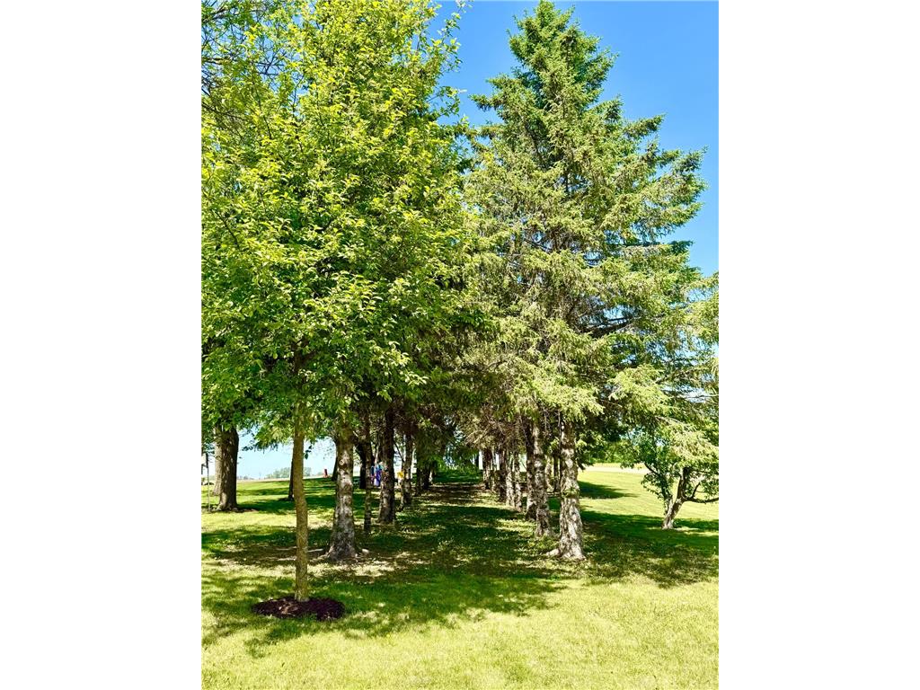 37285 161st Avenue Montgomery MN 56069 7074946 image51