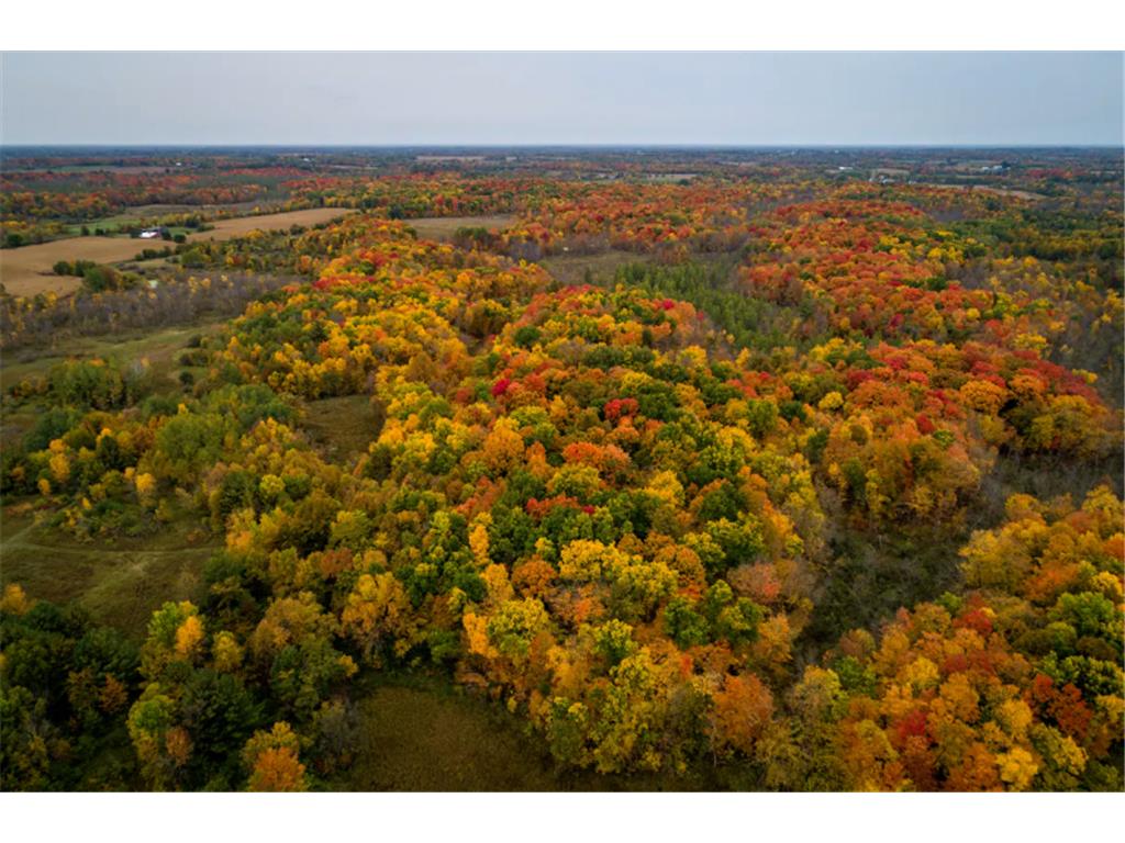 373 Acacia Way Stanchfield MN 55080 - West Rush 6624296 image22