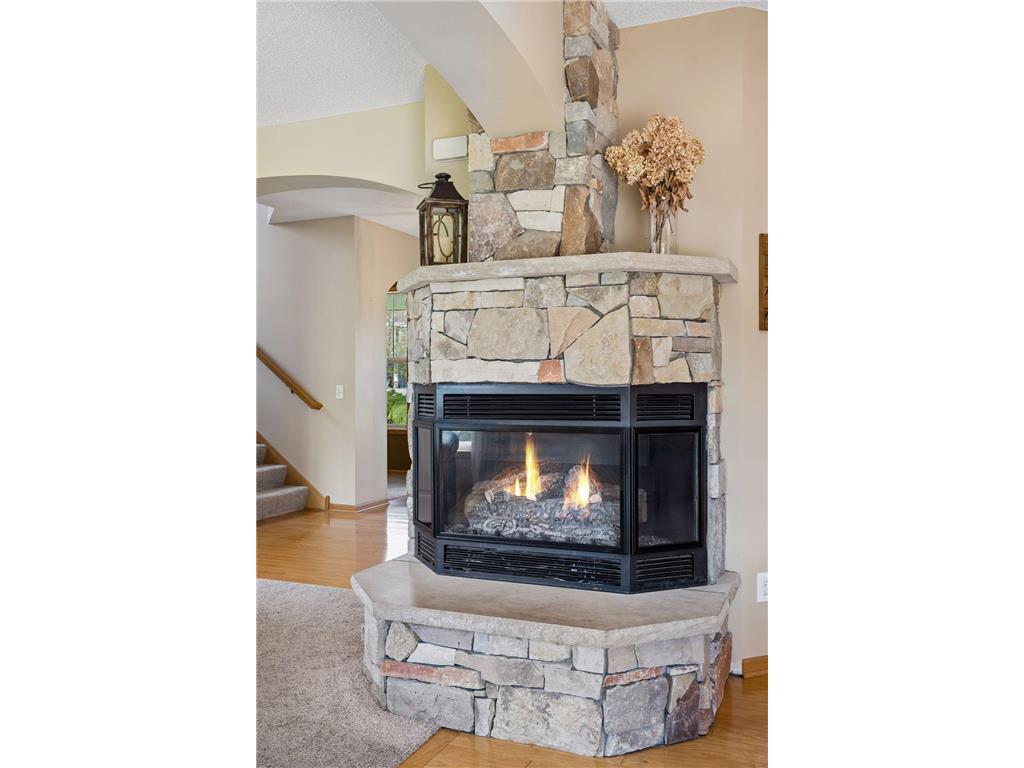 3730 169th Lane NE Ham Lake MN 55304 7063191 image14