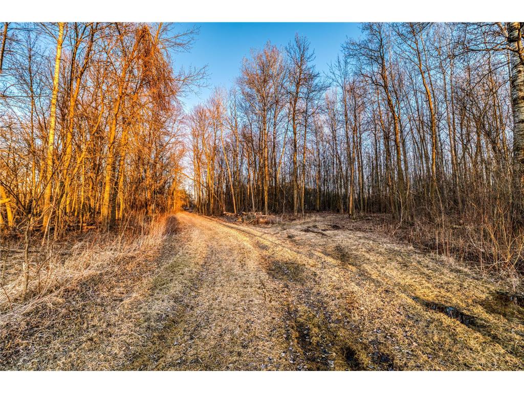 37325 US Highway 169 Spencer Twp MN 56431 7010947 image51