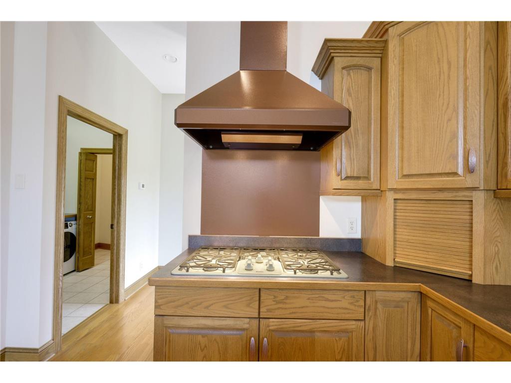 37350 County 14 Boulevard Warsaw Twp MN 55018 6821530 image33