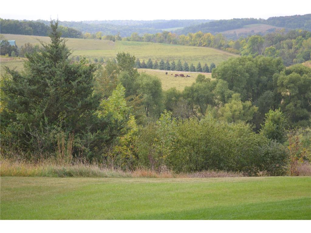 37350 County 14 Boulevard Warsaw Twp MN 55018 6821530 image73