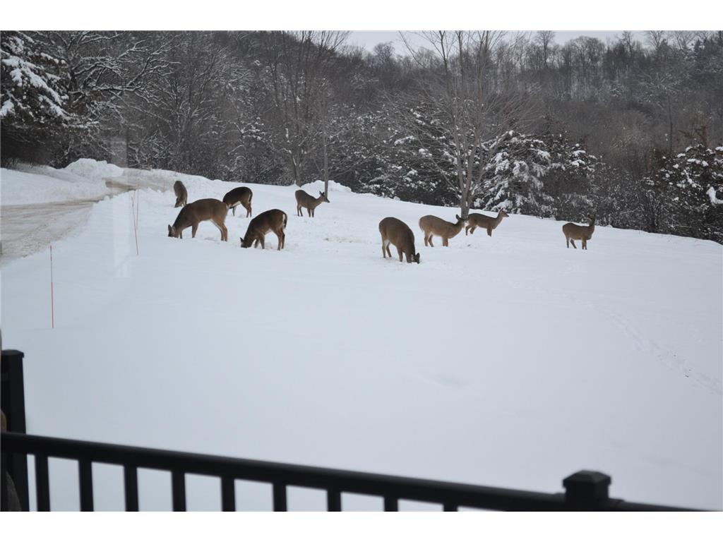 37350 County 14 Boulevard Warsaw Twp MN 55018 6821530 image80