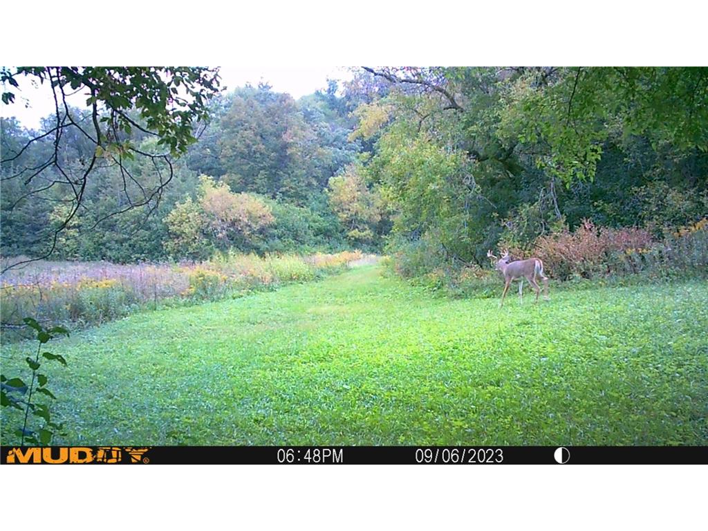 37350 County 14 Boulevard Warsaw Twp MN 55018 6821530 image84