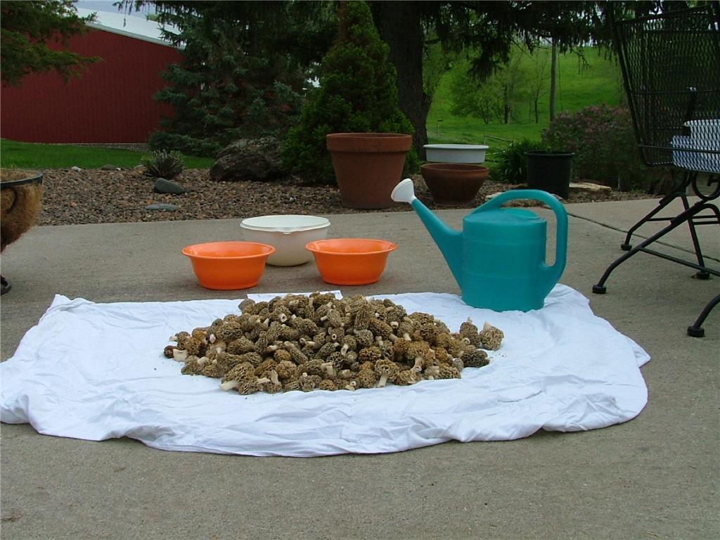 37350 County 14 Boulevard Warsaw Twp MN 55018 6821530 image86