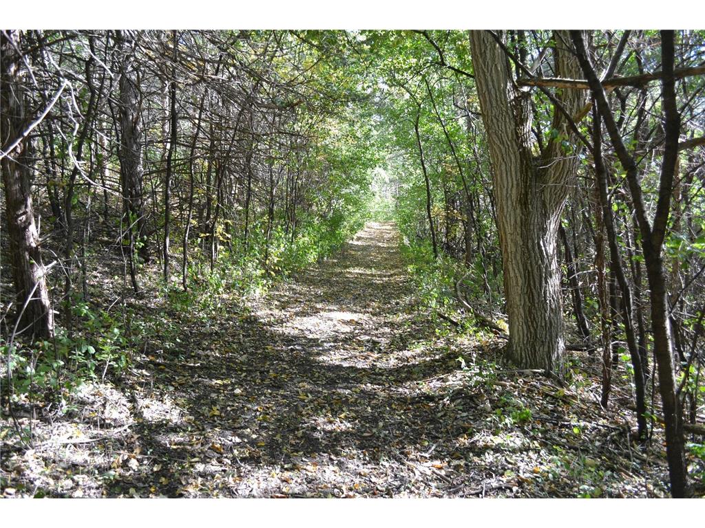 37350 County 14 Boulevard Warsaw Twp MN 55018 6821530 image87