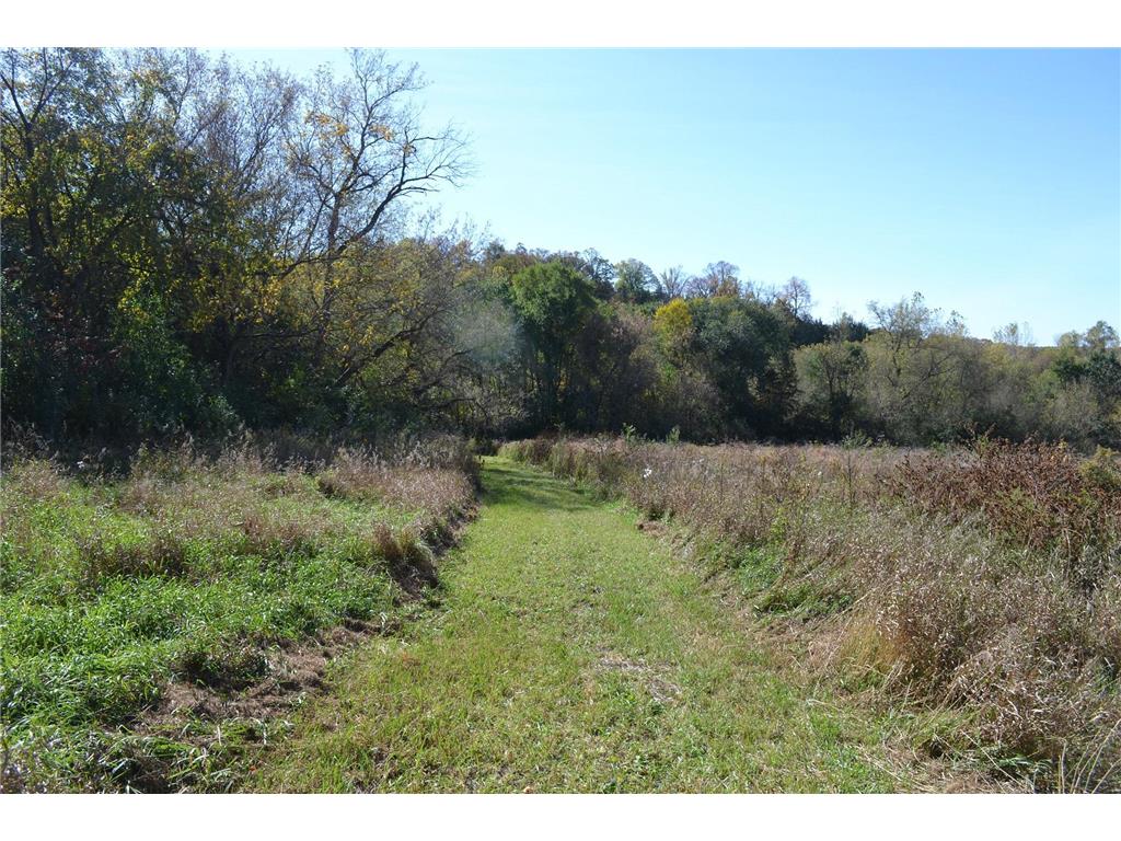 37350 County 14 Boulevard Warsaw Twp MN 55018 6821530 image89