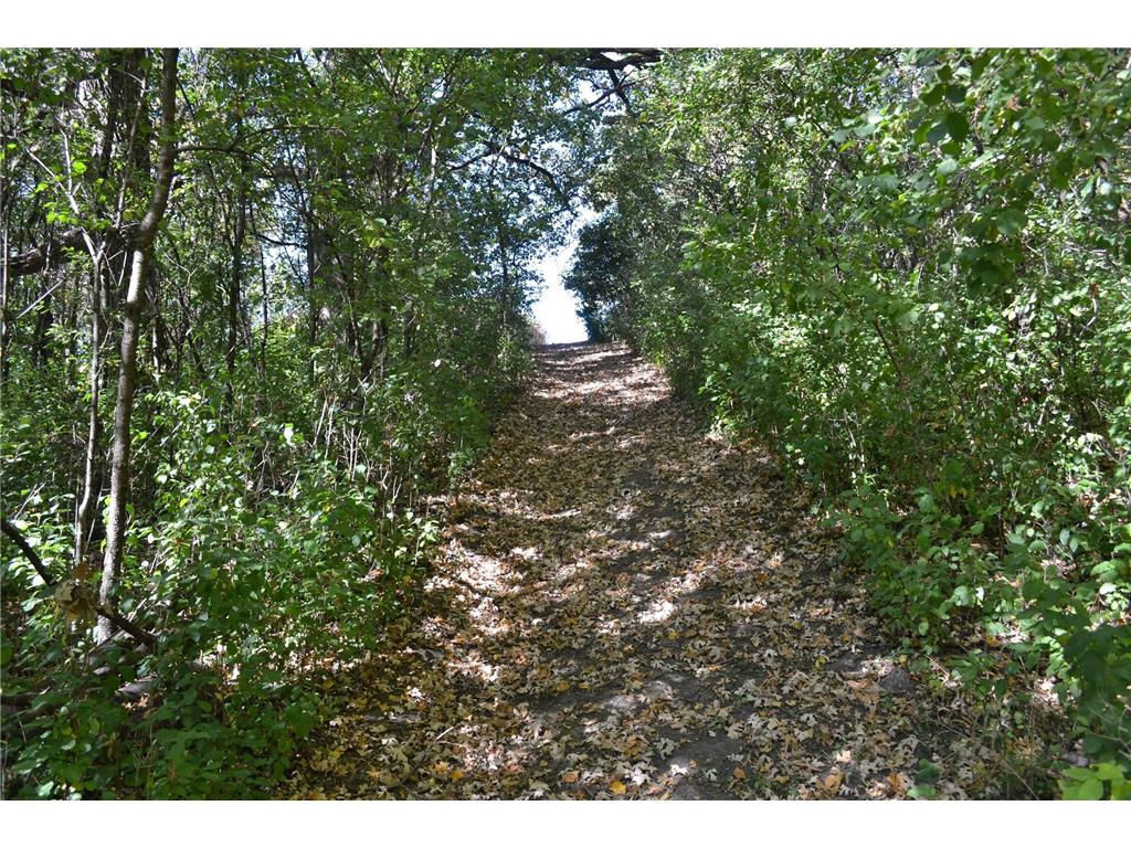 37350 County 14 Boulevard Warsaw Twp MN 55018 6821530 image91