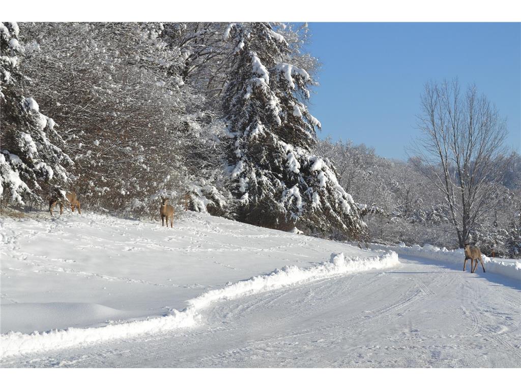 37350 County 14 Boulevard Warsaw Twp MN 55018 6821530 image92