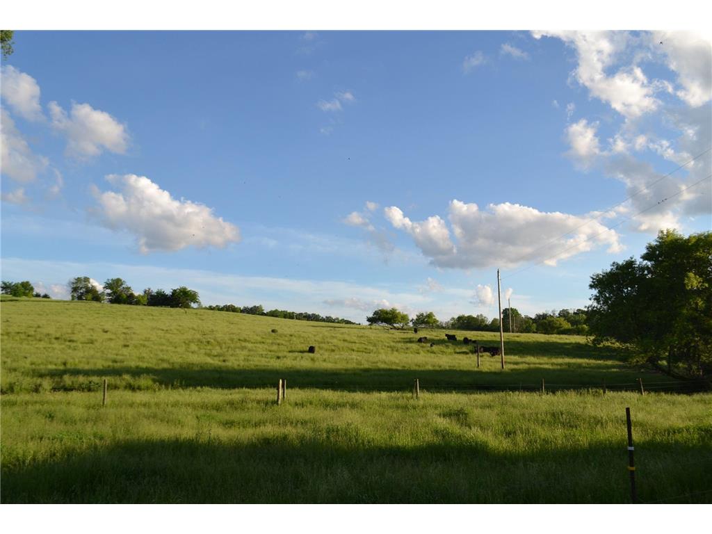 37350 County 14 Boulevard Warsaw Twp MN 55018 6821530 image97