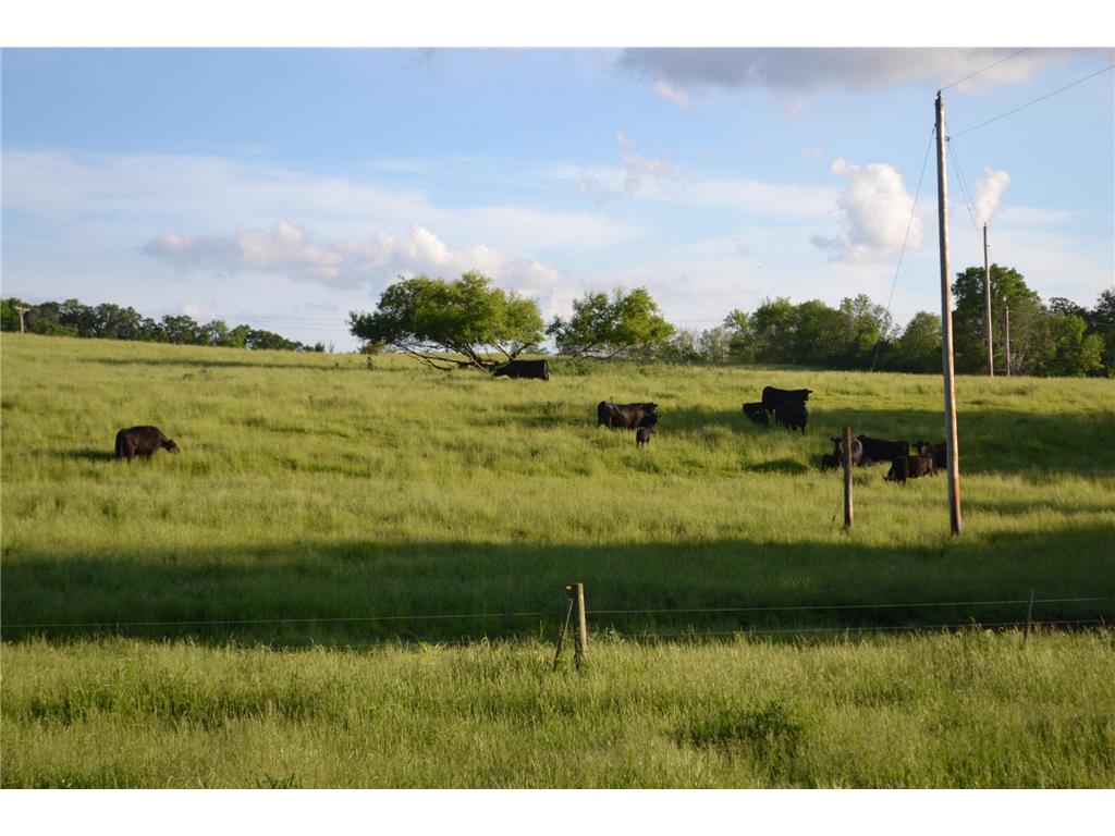 37350 County 14 Boulevard Warsaw Twp MN 55018 6821530 image98