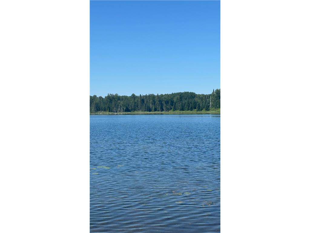 37363 Amen Lake Road Deer River MN 56636 - Crane 7100952 image11