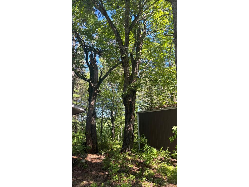 37363 Amen Lake Road Deer River MN 56636 - Crane 7100952 image13