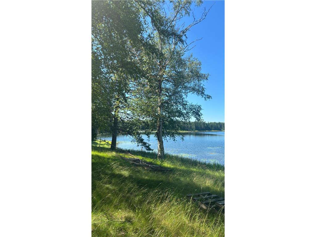 37363 Amen Lake Road Deer River MN 56636 - Crane 7100952 image4